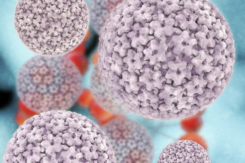 Hpv vírus eredetű. HPV-fertőzés tünetei és kezelése